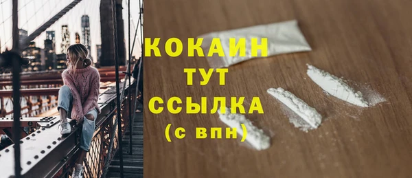 соль ск Дмитровск