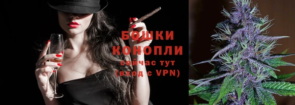 PSILOCYBIN Дмитриев