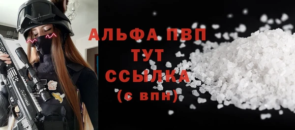 PSILOCYBIN Дмитриев