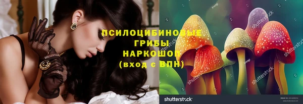 крисы Ельня