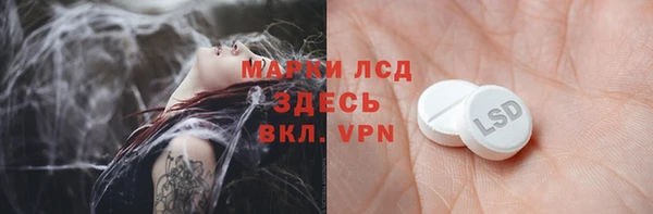 PSILOCYBIN Дмитриев