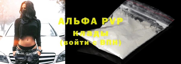 крисы Ельня