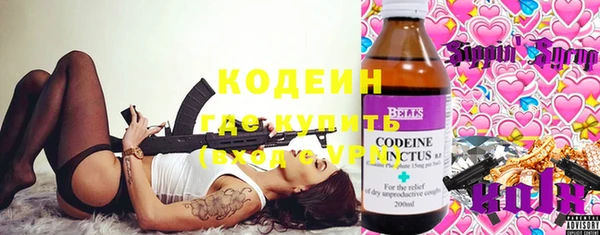 PSILOCYBIN Дмитриев