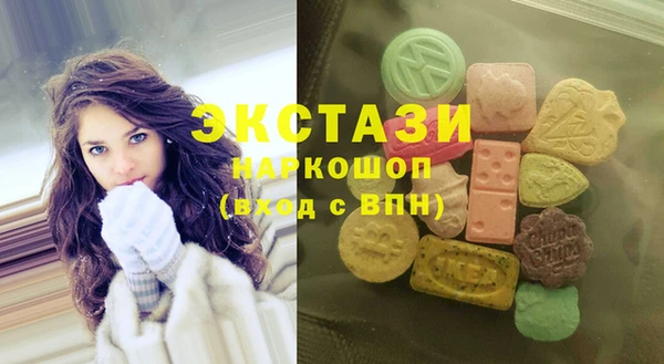крисы Ельня