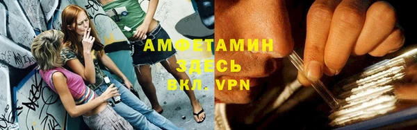 крисы Ельня