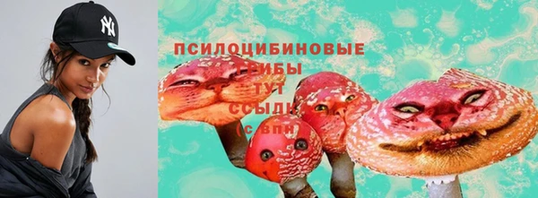 наркотики Елизово
