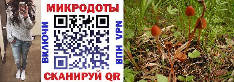 Купить  Кемь  Псилоцибиновые грибы мухоморы 